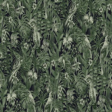 Susila Green Textured Tropical Leaves with Birds Wallpaper