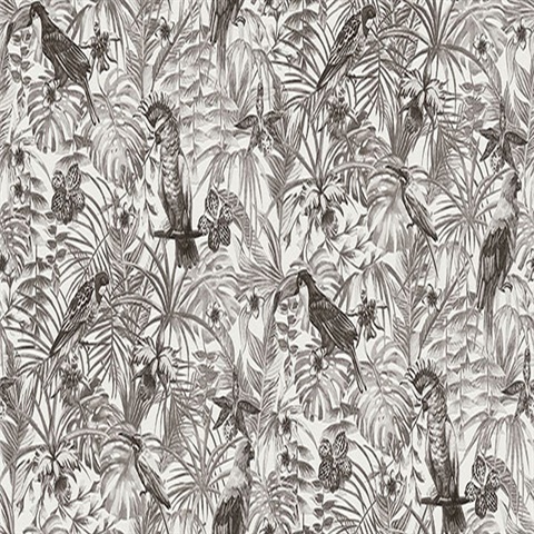 Susila Grey Textured Tropical Leaves with Birds Wallpaper