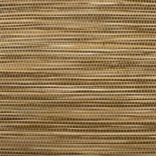 SW5-5 Camel Natural Grasscloth Wallpaper