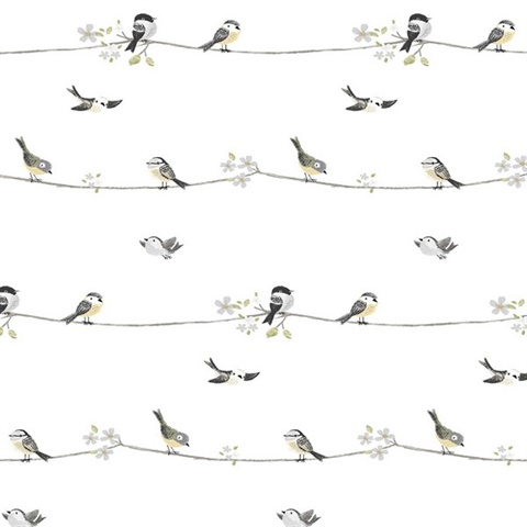Sweet Tweet Animal Print Charcoal & Buttercup Peel and Stick Wallpaper