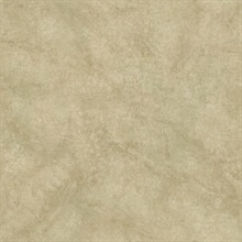 Sylvia Brown Faux Plaster