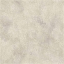 Sylvia Charcoal Faux Plaster