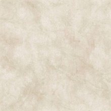 Sylvia Grey Faux Plaster