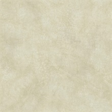 Sylvia Moss Faux Plaster