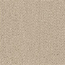 Tailored Chevron Hazelnut Wallpaper