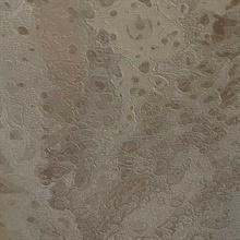 Tan Celestial Metallic Textured Wallpaper