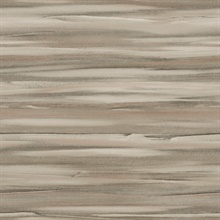 Tan Sanctuary Sandstone Gradient Wallpaper