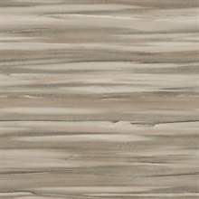 Tan Sanctuary Sandstone Gradient Wallpaper