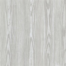 Tanice Blue Faux Wood Texture