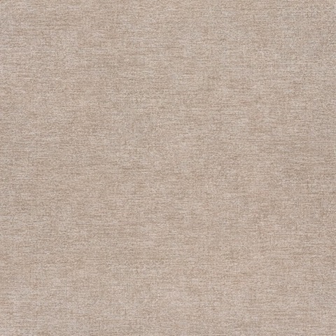 Tansy Dark Grey Distressed Wallpaper