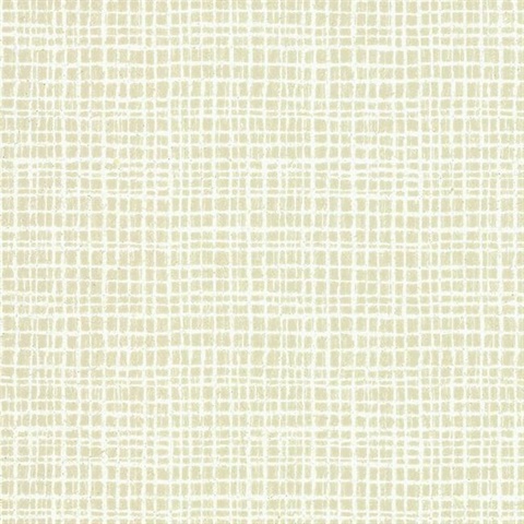 Tarlatan Texture
