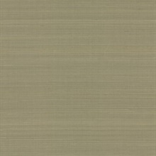 Taupe Abaca Natural Textile Weave Wallpaper