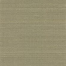 Taupe Abaca Natural Textile Weave Wallpaper