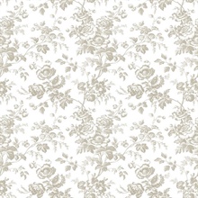 Taupe Anemone French Vine Toile Wallpaper
