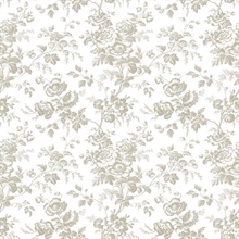 Taupe Anemone French Vine Toile Wallpaper