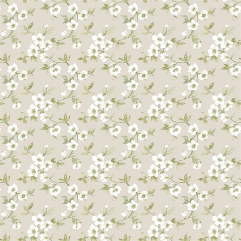 Taupe Anenome Floral Mini Wallpaper