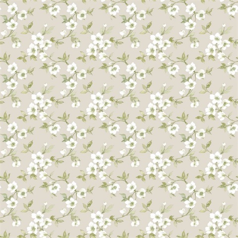 Taupe Anenome Floral Mini Wallpaper