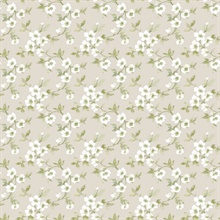 Taupe Anenome Floral Mini Wallpaper