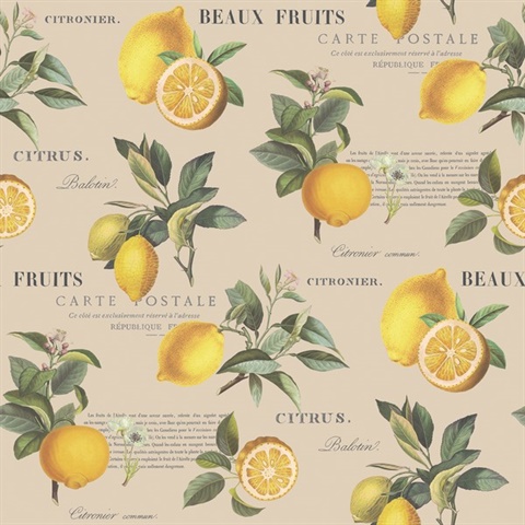 Taupe Citron Lemon & Leaf Botanical Wallpaper