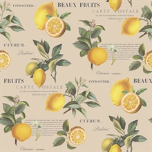 Taupe Citron Lemon &amp; Leaf Botanical Wallpaper