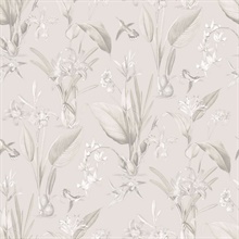 Taupe Cottage Illustrated Botanical Floral &amp; Hummingbird Wallpaper