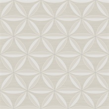 Taupe Floral Geometric Trellis Shape Wallpaper