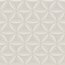 Taupe Floral Geometric Trellis Shape Wallpaper