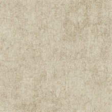 Taupe Haven Texture