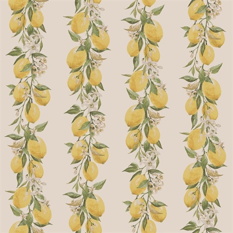 Taupe Lemon & Leaf Vine Stripe Wallpaper