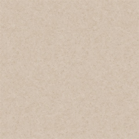 Taupe Mini Faux Plaster Texture Wallpaper