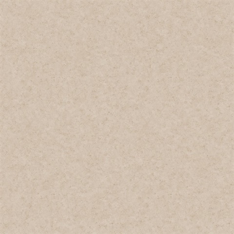 Taupe Mini Faux Plaster Texture Wallpaper