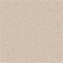 Taupe Mini Faux Plaster Texture Wallpaper