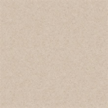 Taupe Mini Faux Plaster Texture Wallpaper