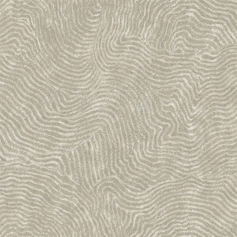 Taupe Modern Wood Abstract Grain Wallpaper