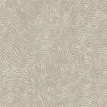 Taupe Modern Wood Abstract Grain Wallpaper