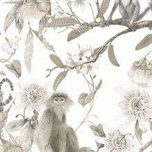 Taupe Monkey Flowers