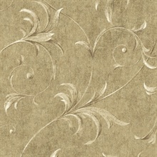 Taupe Ogee Acanthus Scroll