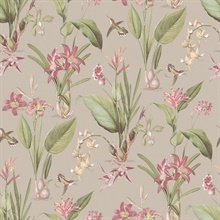 Taupe &amp; Rasberry Cottage Illustrated Botanical Floral &amp; Hummingbird Wa