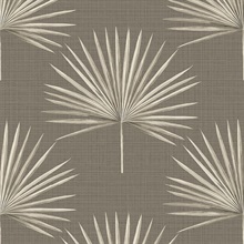 Taupe Richmond Palm Faux Grasscloth Wallpaper