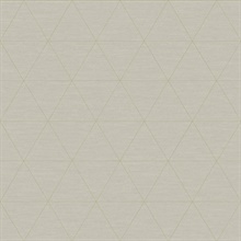 Taupe Ridge Geometric Triangles Wallpaper