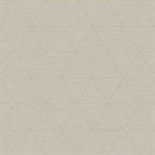 Taupe Ridge Geometric Triangles Wallpaper