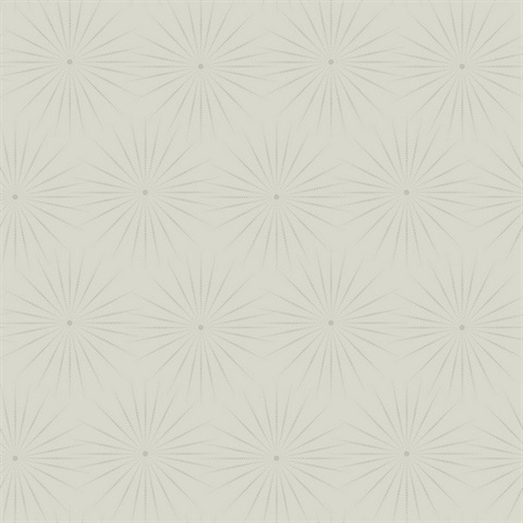 Taupe & Silver Starlight Modern Metallic Sunburst Dots