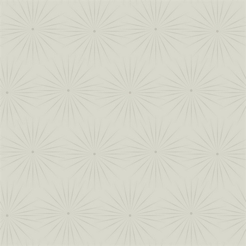 Taupe & Silver Starlight Modern Metallic Sunburst Dots