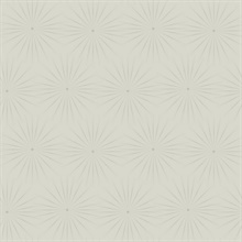 Taupe & Silver Starlight Modern Metallic Sunburst Dots