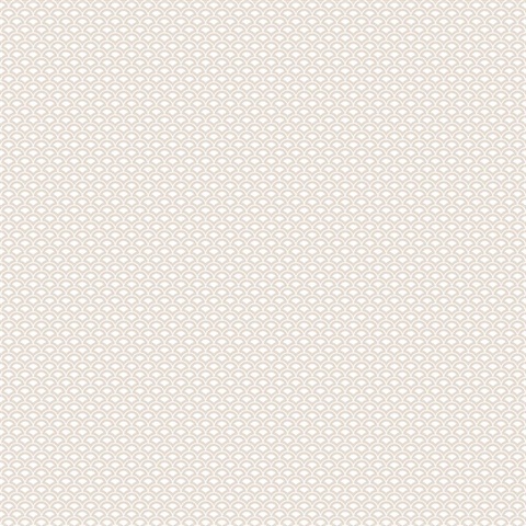 Taupe Small Shell Top Scallop Wallpaper