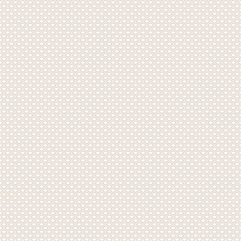 Taupe Small Shell Top Scallop Wallpaper