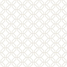 Taupe Trellis Geometric  Positive Wallpaper