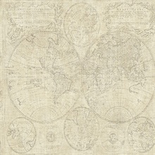 Taupe Vintage World Map Wallpaper