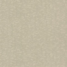 Taupe Weathered Cypress Faux Texture Stone Wallpaper