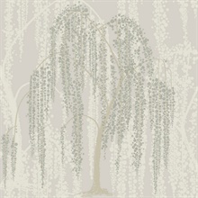 Taupe Weeping Willow Wallpaper